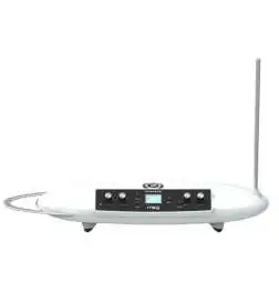Moog Theremini Synthétiseur