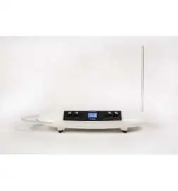 Moog Theremini Synthesizer