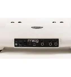 Moog Theremini Synthesizer