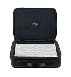 Moog Subsequent 25 SR Series Case