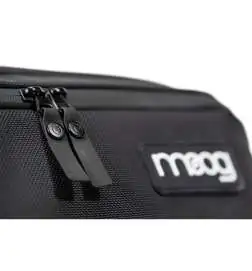 Moog Subsequent 25 SR Series Case