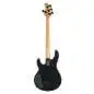 Music Man DarkRay 4 EB Dark Rainbow