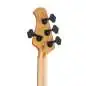 Music Man DarkRay 4 EB Dark Rainbow