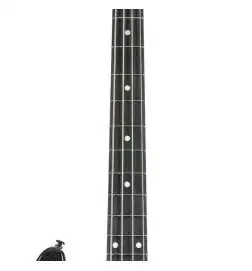 Music Man DarkRay 4 EB Dark Rainbow