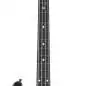 Music Man DarkRay 4 EB Dark Rainbow