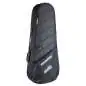 Music Man DarkRay 4 EB Dark Rainbow
