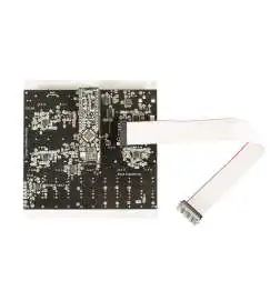 Noise Engineering Cursus Iteritas Percido (Silver) Synth Modulo