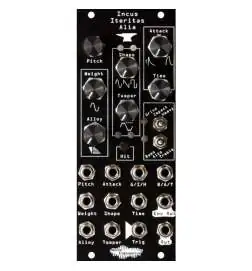 Noise Engineering Incus Iteritas Alia Black