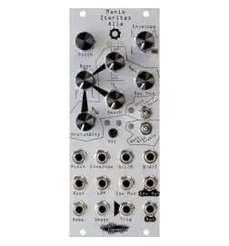Noise Engineering Manis Iteritas Alia Silver