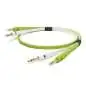 NEO by Oyaide d+ TRS Class B Cable 2x 2m 6.3mm Balanced