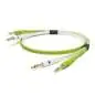 NEO by Oyaide d+ TRS Class B Cable 2x 1m 6.3mm Balanced
