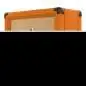 Orange Crush 20RT