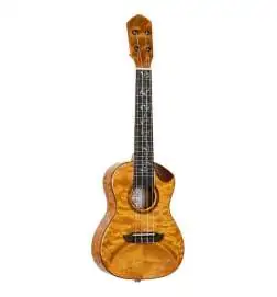 Ortega RUET-QMA