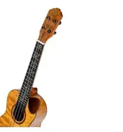 Ortega RUET-QMA