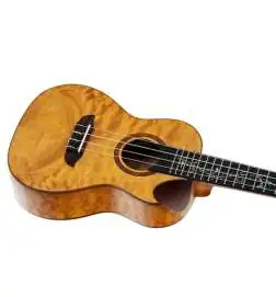 Ortega RUET-QMA