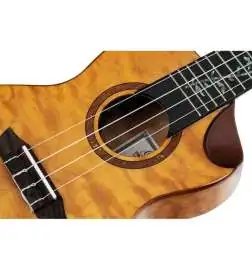 Ortega RUET-QMA