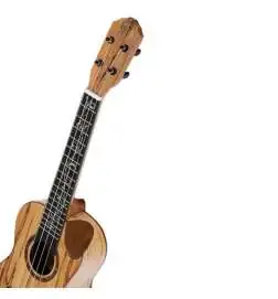 Ortega RUET-SMA