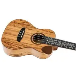 Ortega RUET-SMA