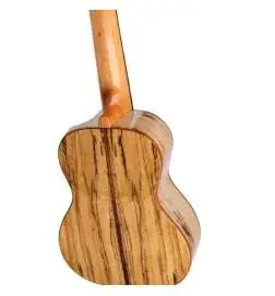 Ortega RUET-SMA