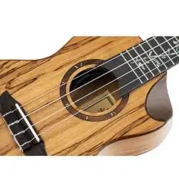 Ortega RUET-SMA