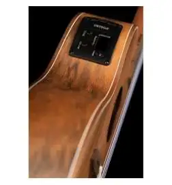 Ortega LIZARD-CC-GB Konzert Ukulele