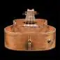 Ortega LIZARD-CC-GB Konzert Ukulele Ortega LIZARD-CC-GB Konzert Ukulele
