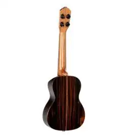Ortega RUET-EB