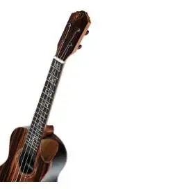 Ortega RUET-EB