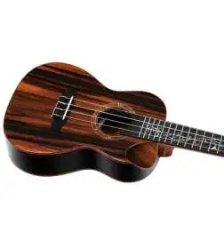 Ortega RUET-EB