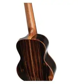 Ortega RUET-EB