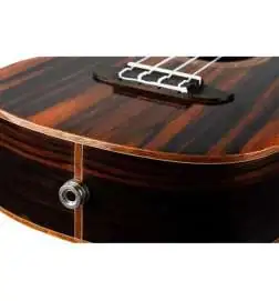 Ortega RUET-EB