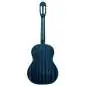 Ortega R121SNOC Ortega R121SNOC