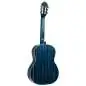 Ortega R121SNOC Ortega R121SNOC