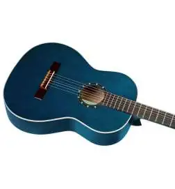 Ortega R121SNOC