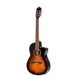 Ortega DSSUITE-CE Thinline Body