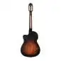 Ortega DSSUITE-CE Thinline Body