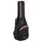 Ortega DSSUITE-CE Thinline Body