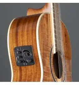 Ortega RE30TH-ACA 30th Anniversary