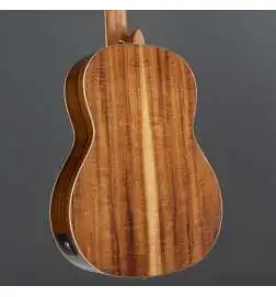 Ortega RE30TH-ACA 30th Anniversary