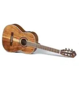 Ortega RE30TH-ACA 30th Anniversary
