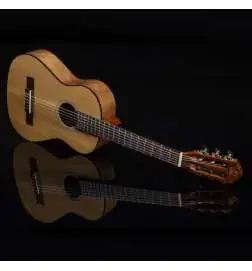 Ortega RST5-1 2 Natural Highgloss