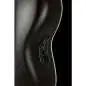 Ovation 2751AX-5-G 12-String