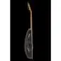 Ovation 1773AX-4-G