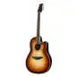 Ovation Standard Plus CS24X-7C