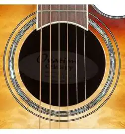 Ovation Standard Plus CS24X-7C