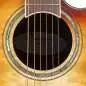 Ovation Standard Plus CS24X-7C