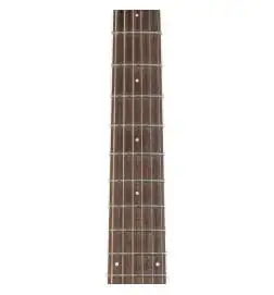 Ovation Standard Plus CS24X-7C