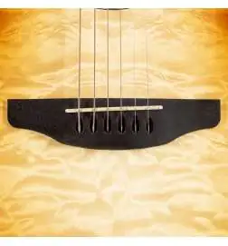 Ovation Standard Plus CS24X-7C