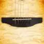 Ovation Standard Plus CS24X-7C