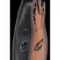 Ovation Celebrity Elite 2025 LTD